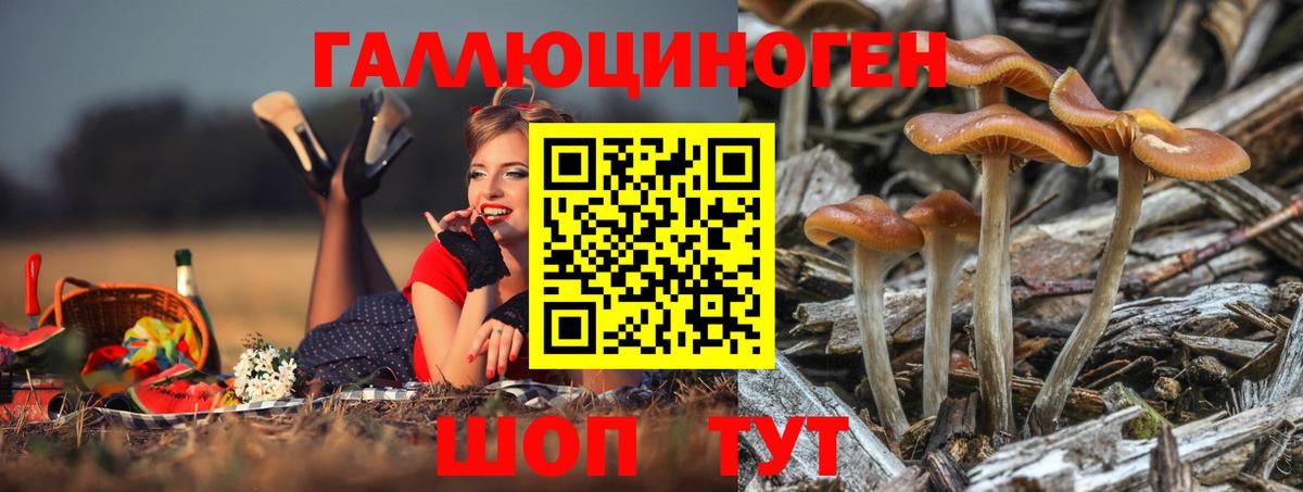 Бошки Шишки Архангельск