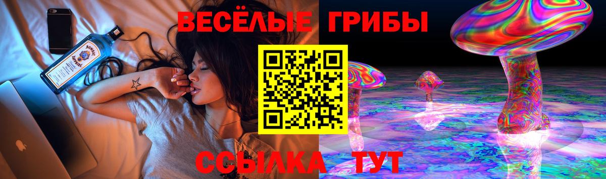 Галлюциногенные грибы мухоморы  Галлюциногенные грибы Cubensis  Архангельск  Вход с VPN 